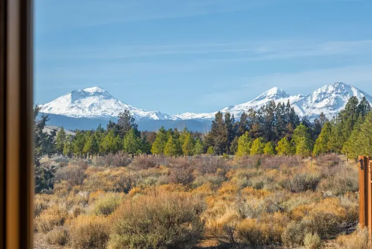 dfc10e26 92c4 423f 8456 8244e538c9c5.jpeg