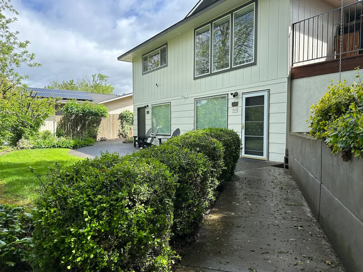 2bfcff3b eef2 4f94 9383 dcc7439e02ee.jpeg